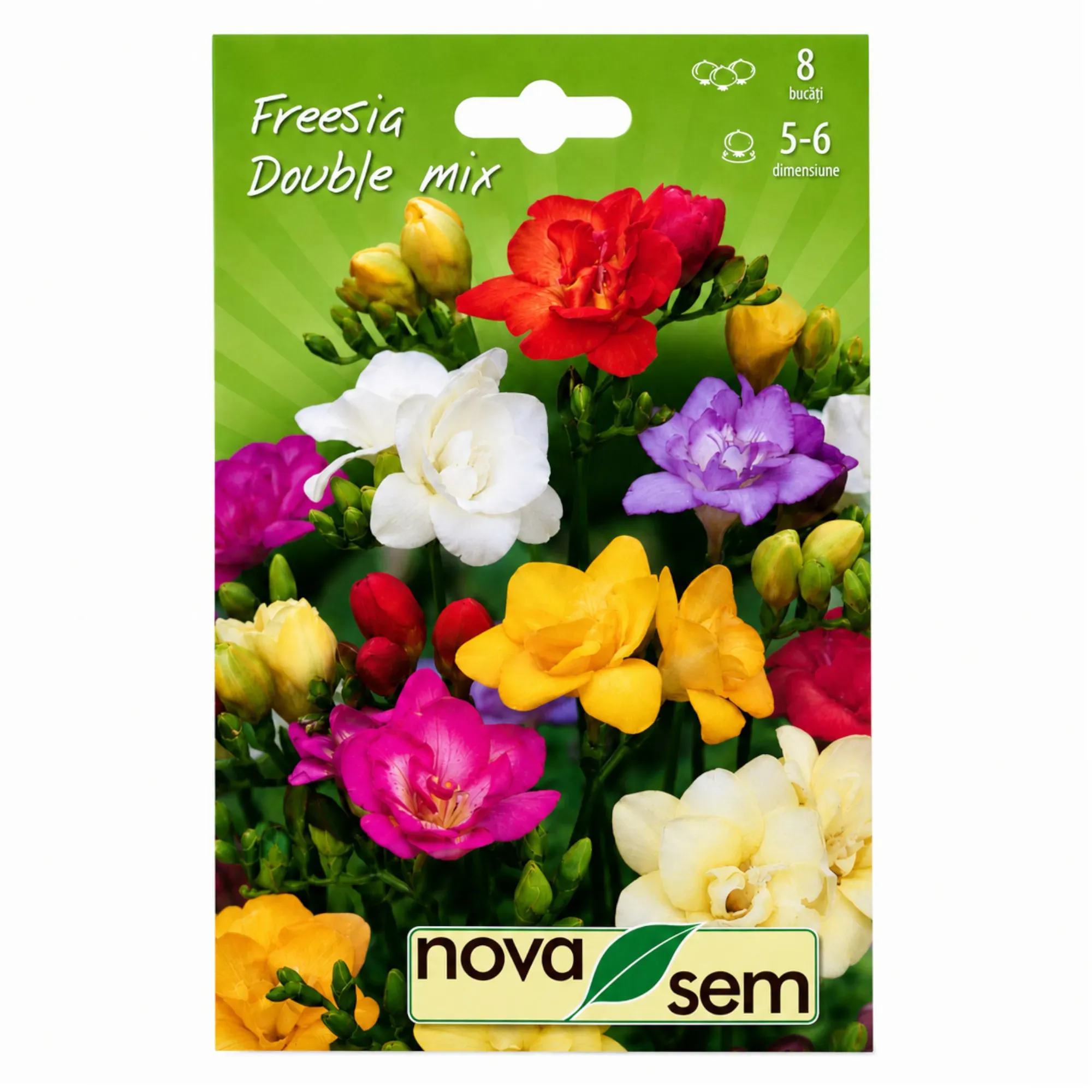 Freesias « Double Mix » - 1