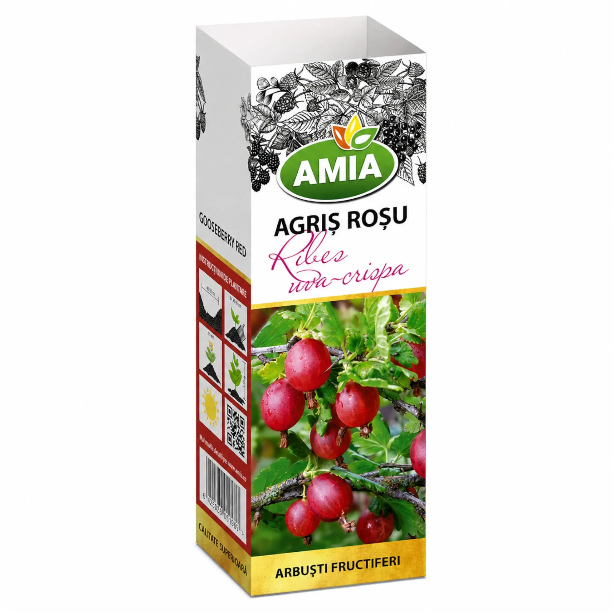Butaș de Agriş Roşu - 1