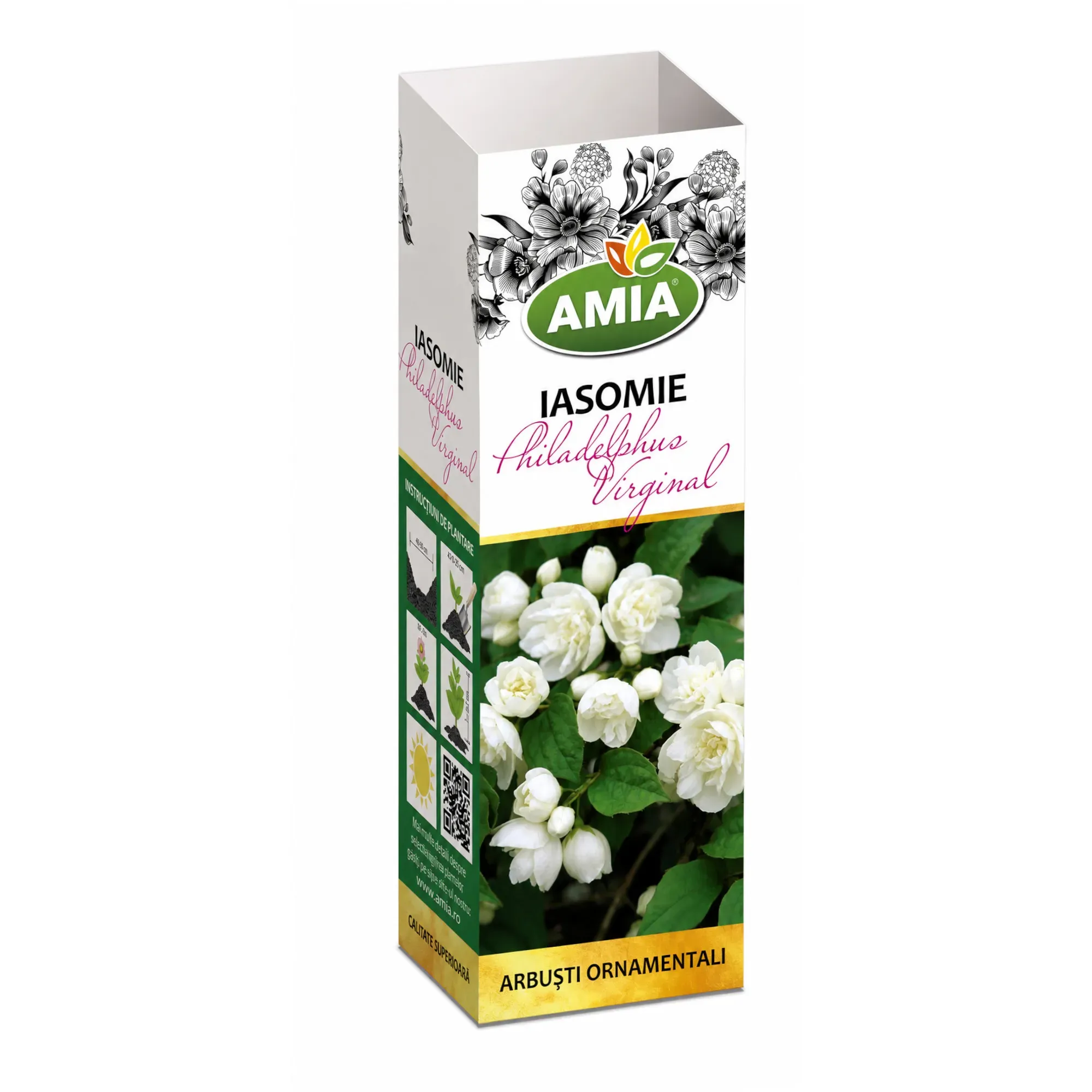 Butaș de Iasomie - 1