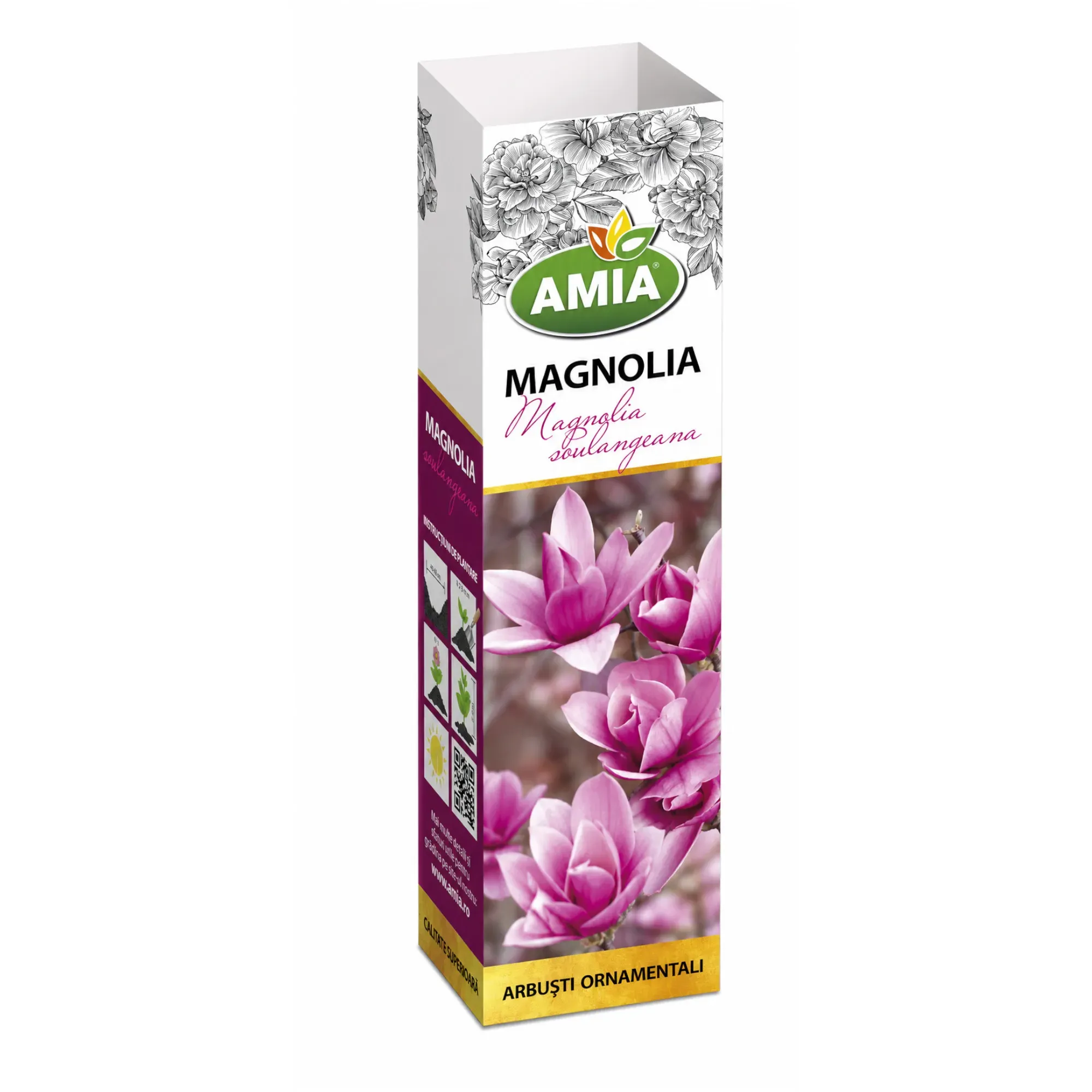 Butaș de Magnolia soulangeana - 1