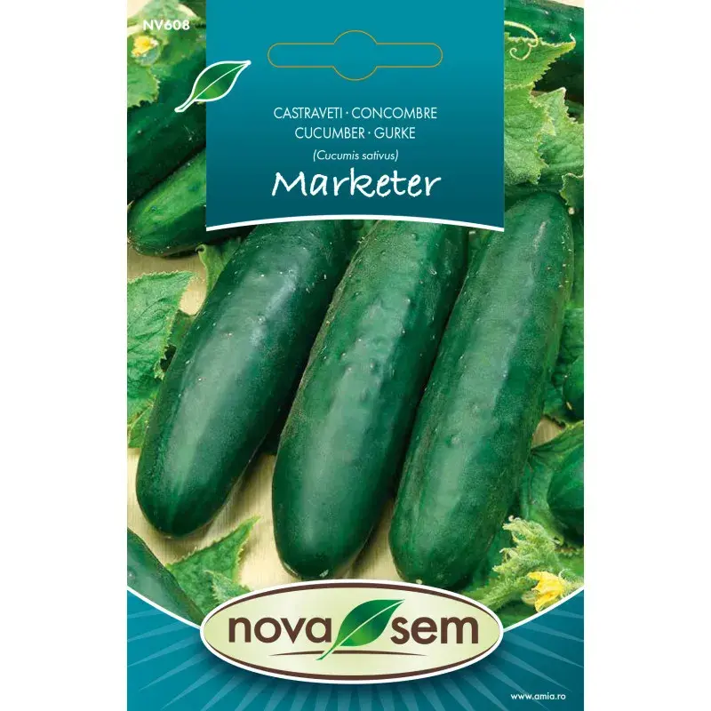 Nova Sem Seeds - Cucumber Marketer