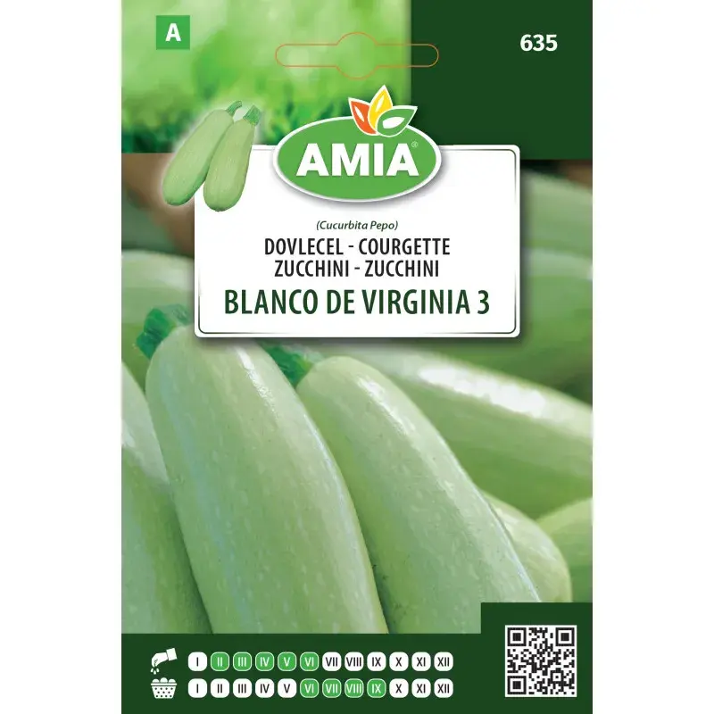 Amia Seeds - Courgette Blanco de Virginia 3