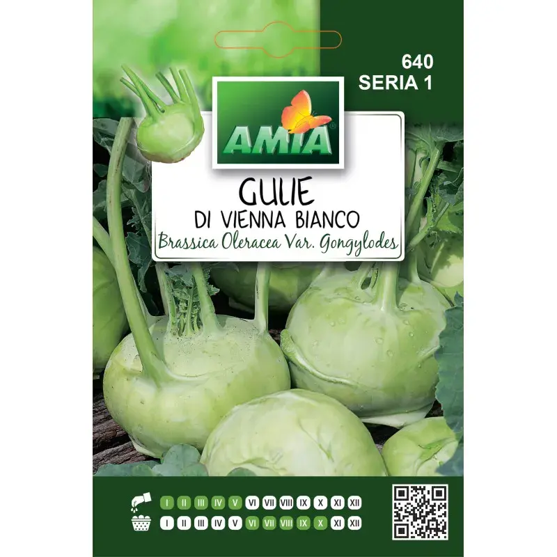 Amia Seeds - Kohlrabi di Vienna Bianco