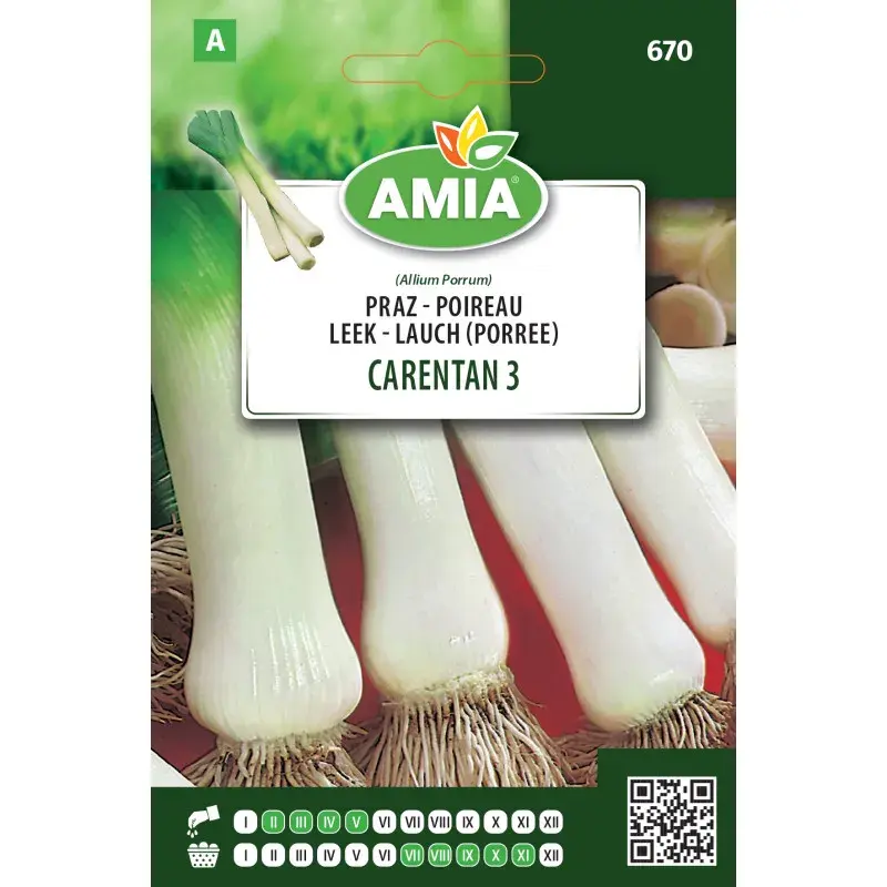 Amia Seeds - Leek Carentan