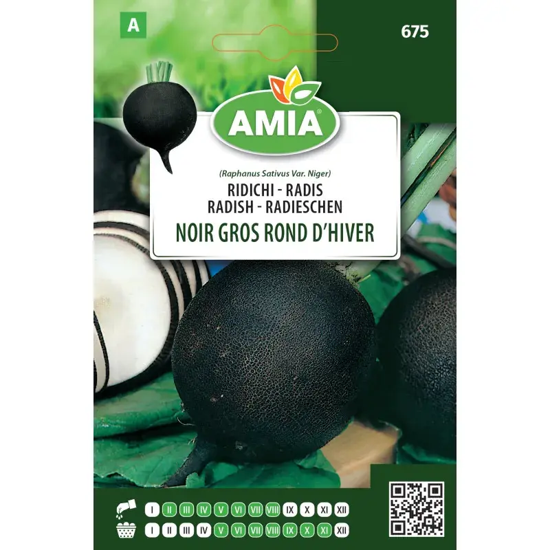 Amia Seeds - Radish Noir Gros Rond d'Hiver