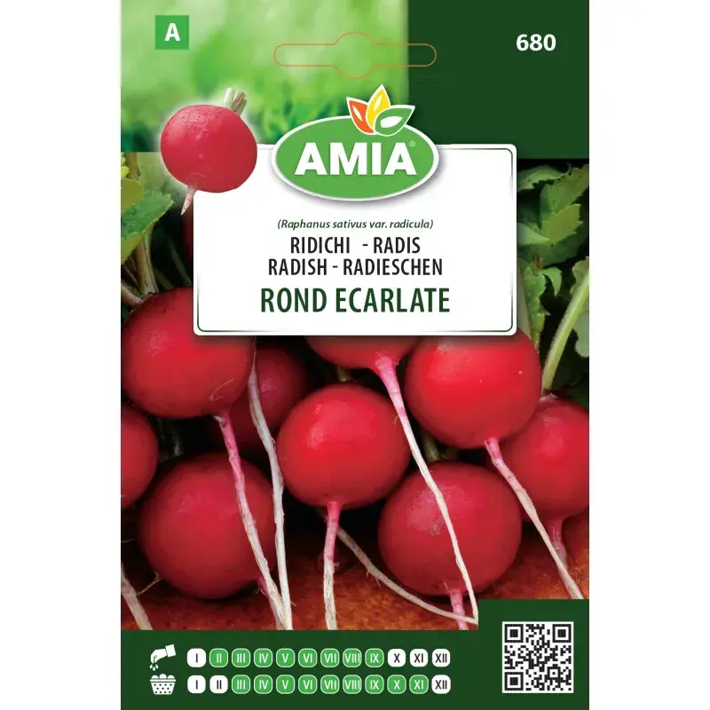 Amia Seeds - Radish Rond Écarlate