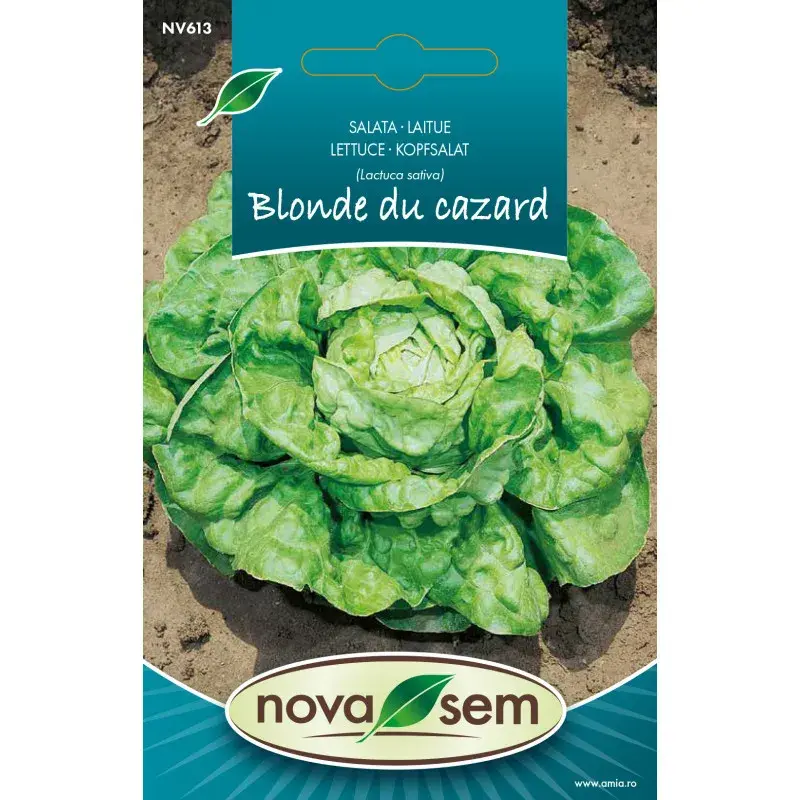 Nova Sem Seeds - Lettuce Blonde du Cazard