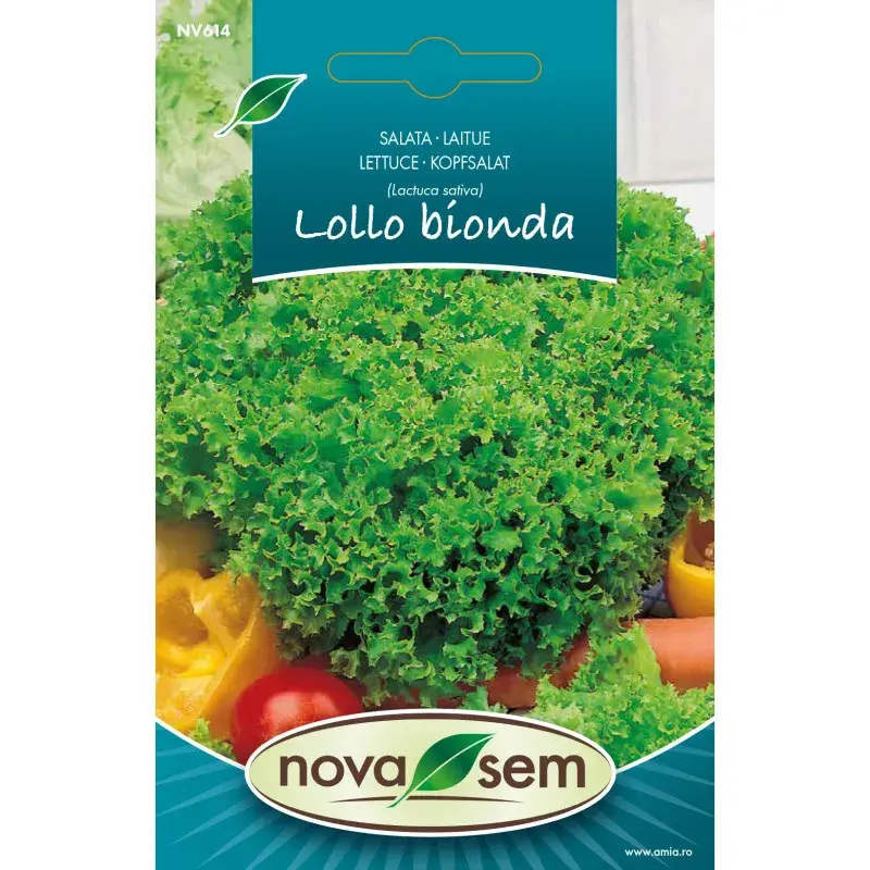 Nova Sem Seeds - Lettuce Lollo Bionda