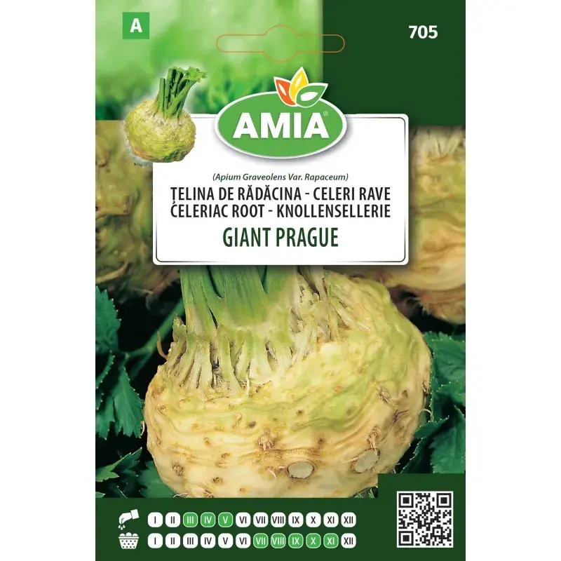 Amia Seeds - Celeriac Giant Prague