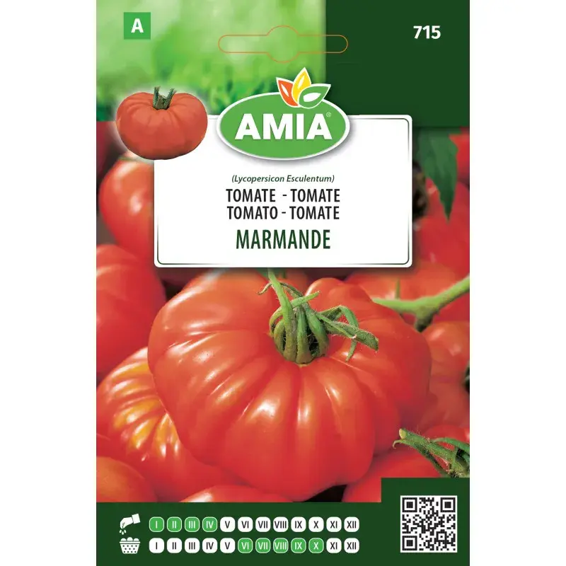 Amia Seeds - Tomato Marmande