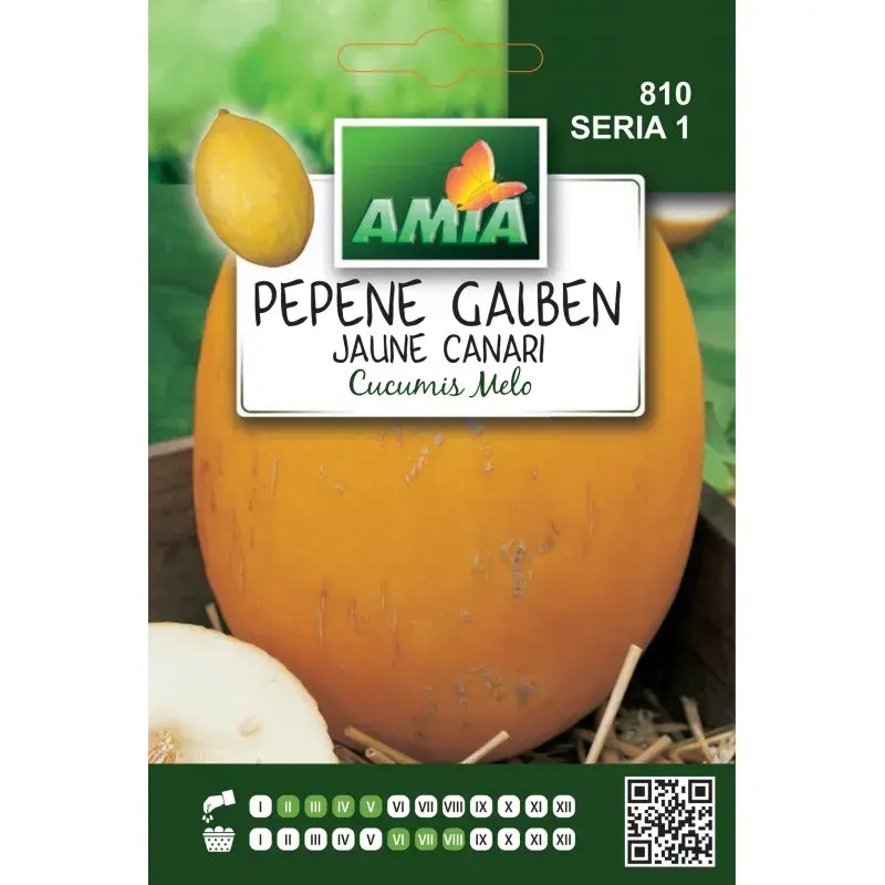 Amia Seeds - Melon Jaune Canari
