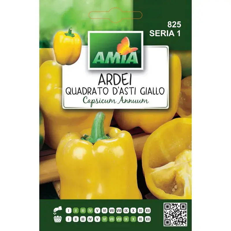Amia Seeds - Sweet pepper Quadrato d'Asti Giallo