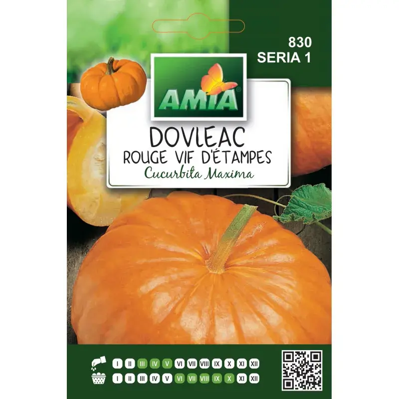 Amia Seeds - Squash Rouge Vif d'Étampes