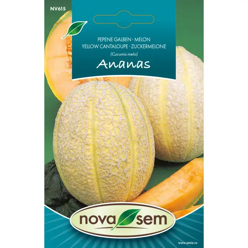 Nova Sem Seeds - Melon Ananas