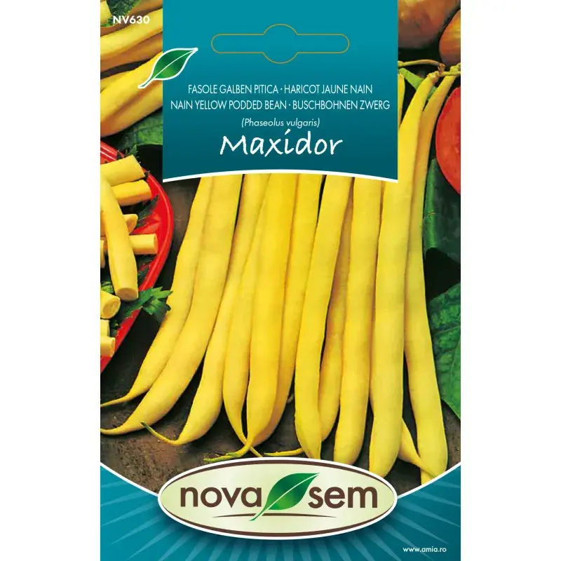 Nova Sem Seeds - Bean Maxidor