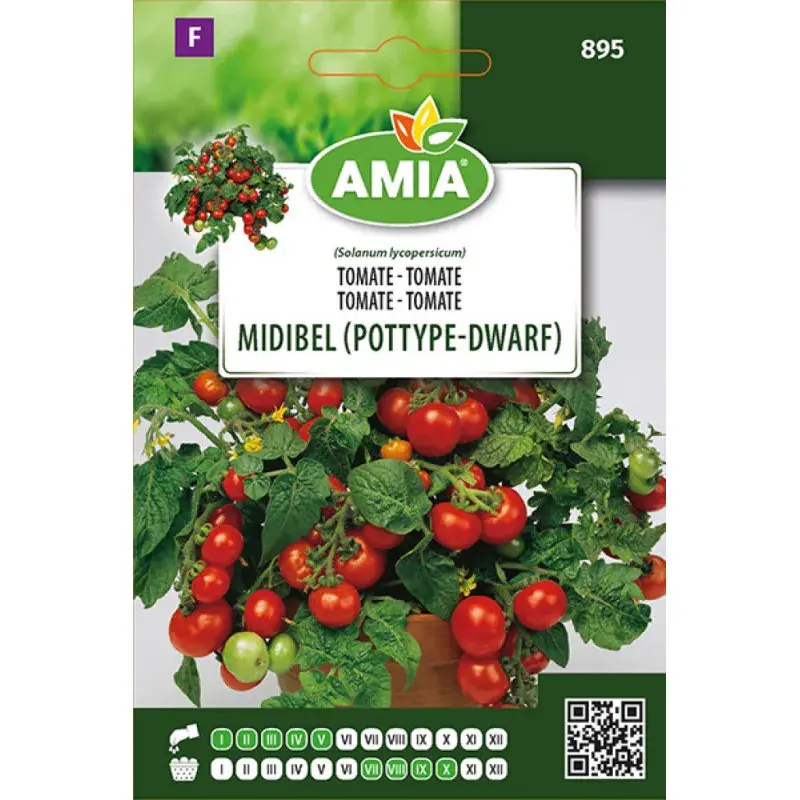 Amia Seeds - Tomato Minibel (Pottypedwarf)