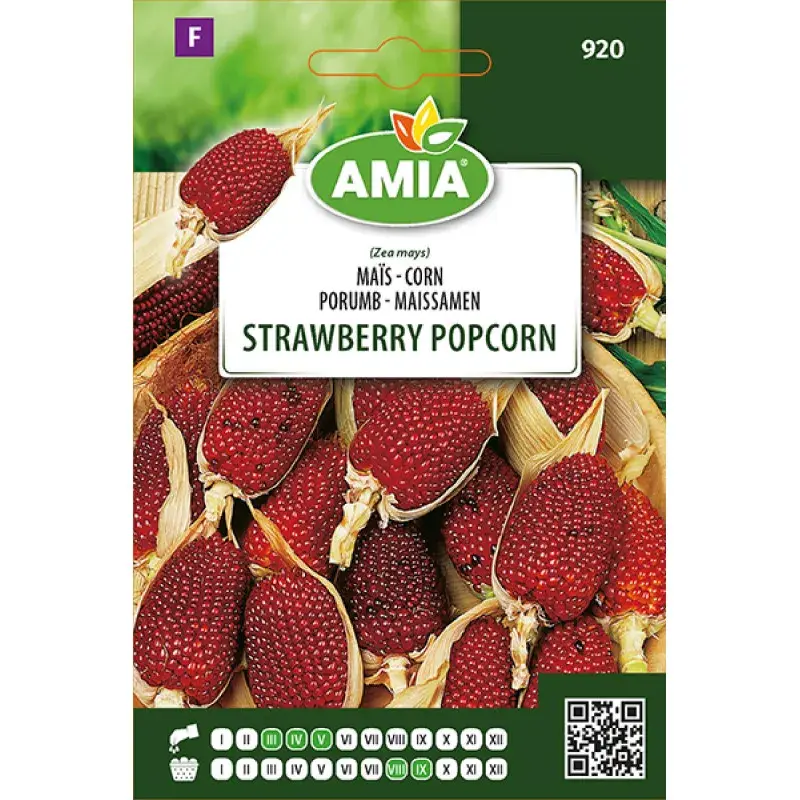 Amia Seeds - Sweetcorn Strawberry Popcorn