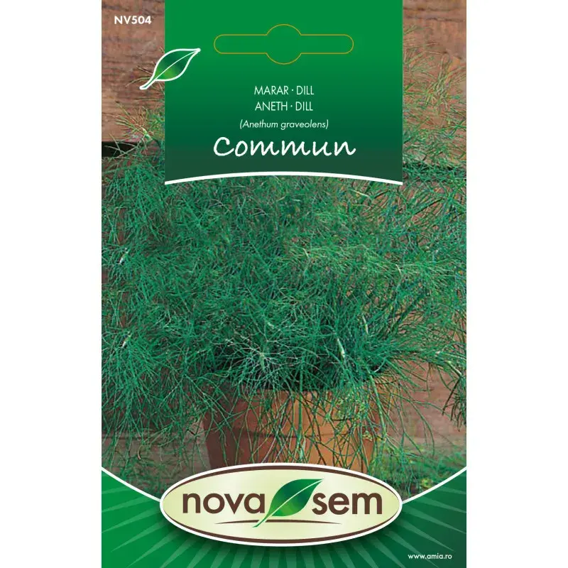 Nova Sem Seeds - Dill