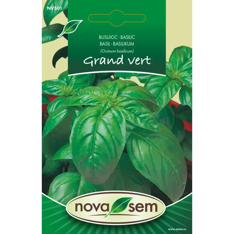 Nova Sem Seeds - Basil Grand Vert