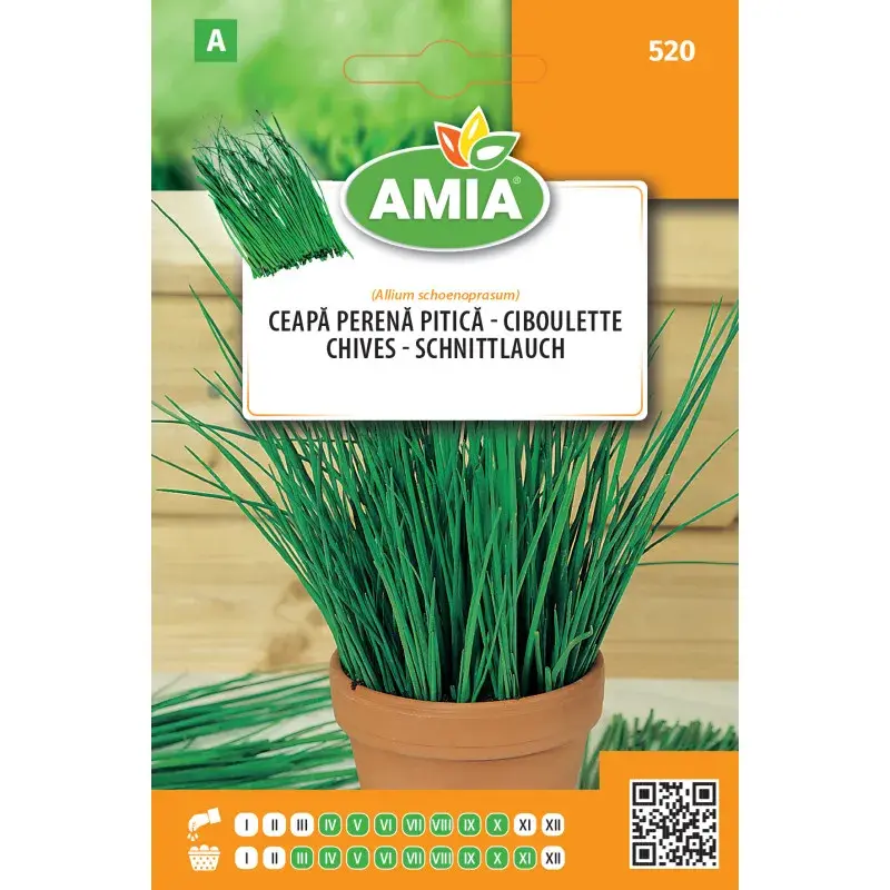 Amia Seeds - Chives