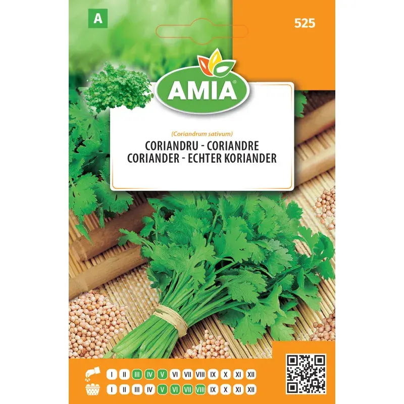Amia Seeds - Coriander