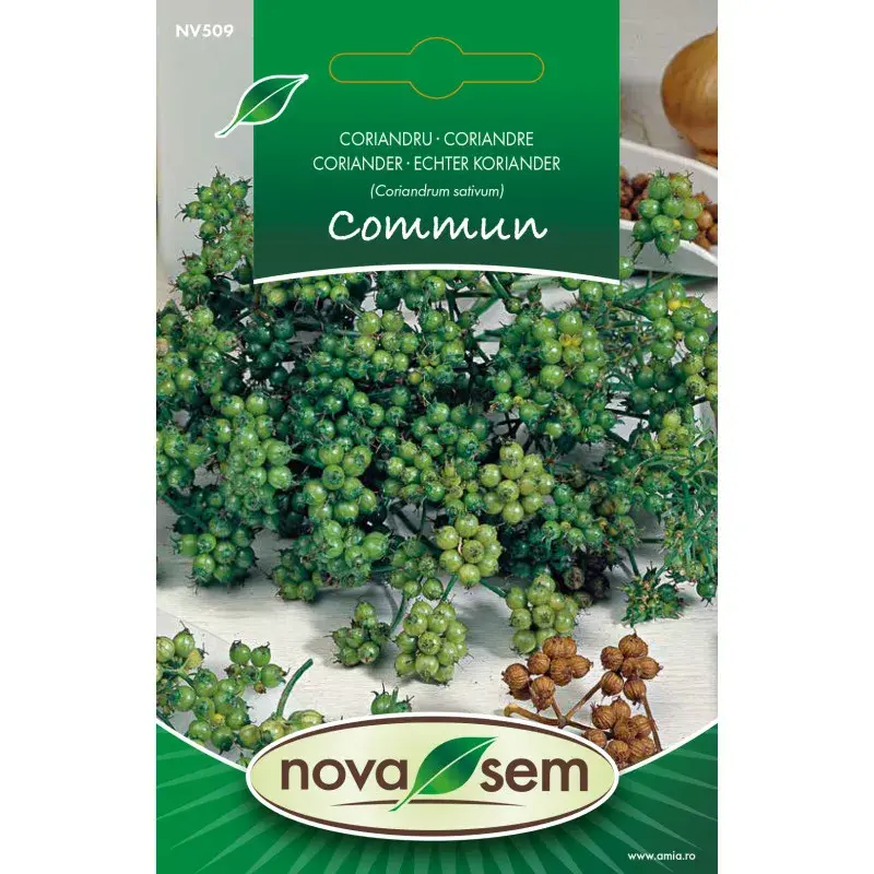 Nova Sem Seeds - Coriander