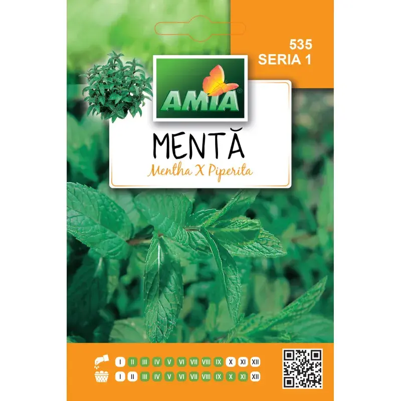 Amia Seeds - Peppermint