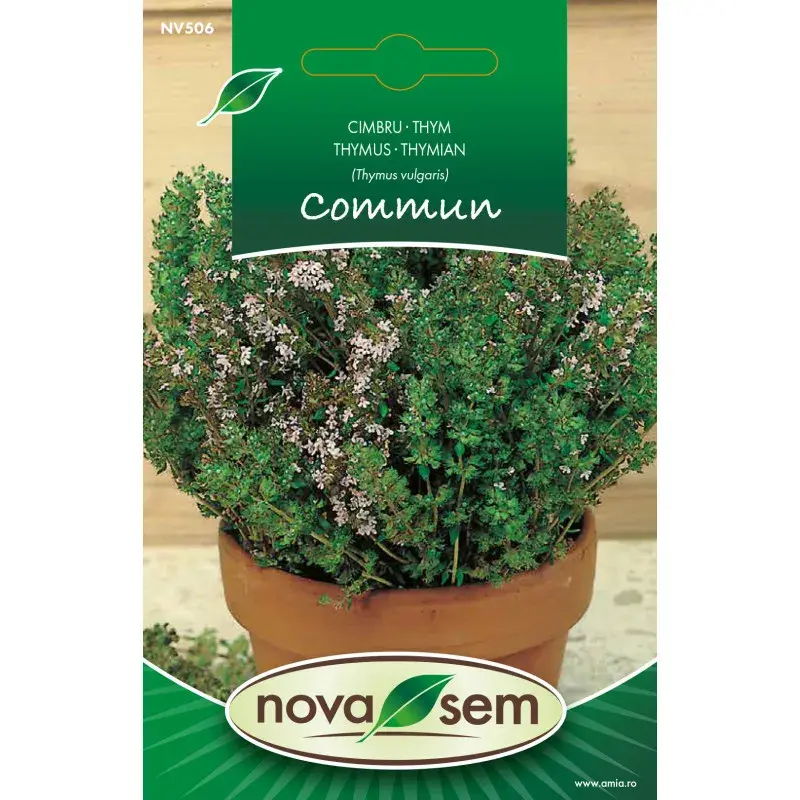 Nova Sem Seeds - Thyme