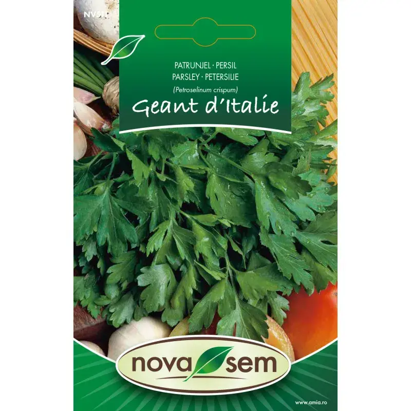 Nova Sem Seeds - Parsley Géant d'Italie