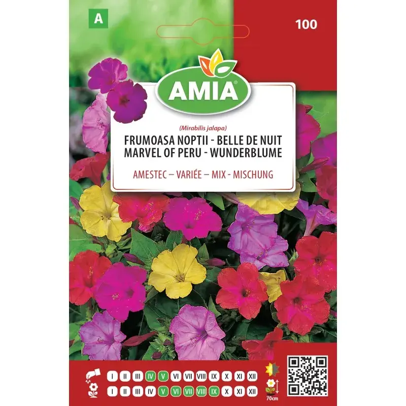 Amia Seeds - Marvel of Peru