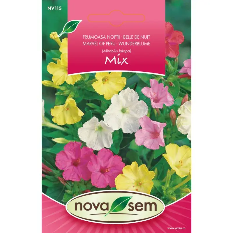 Nova Sem Seeds - Marvel of Peru