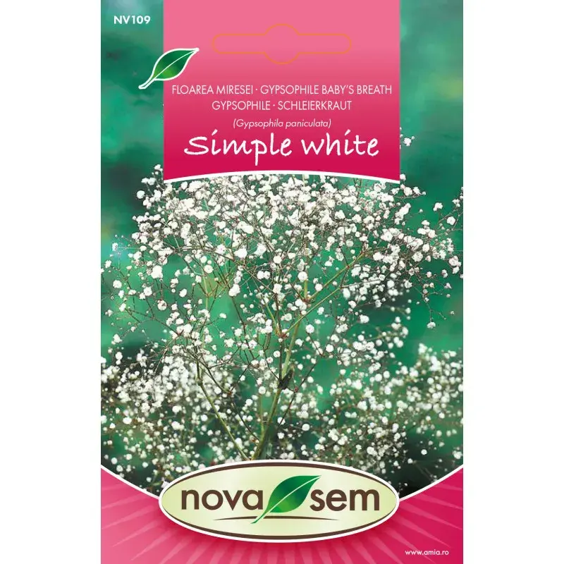 Nova Sem Seeds - Baby's breath Simple White