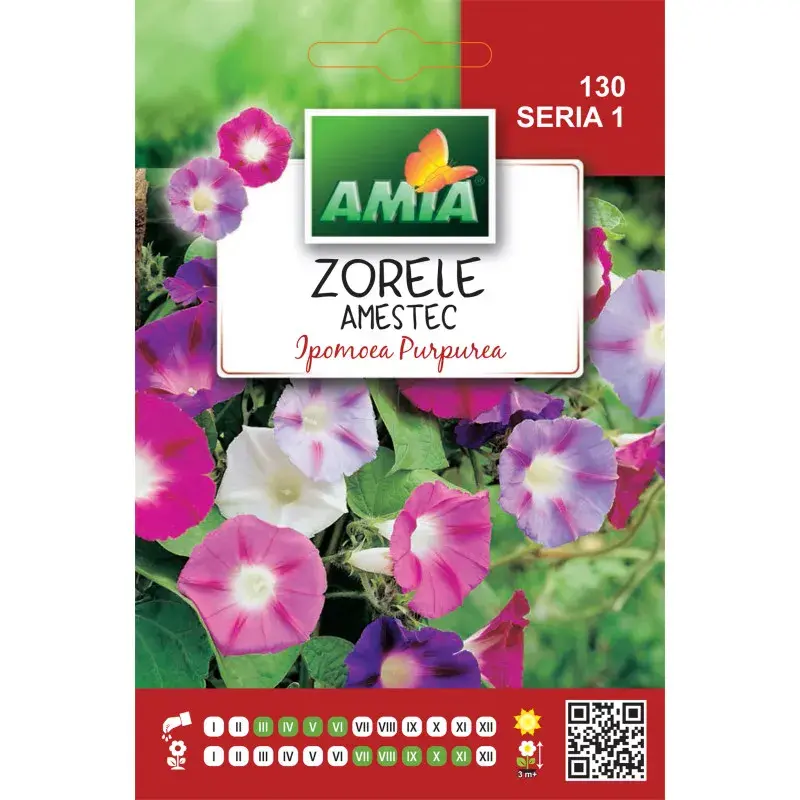 Amia Seeds - Morning glory Mix
