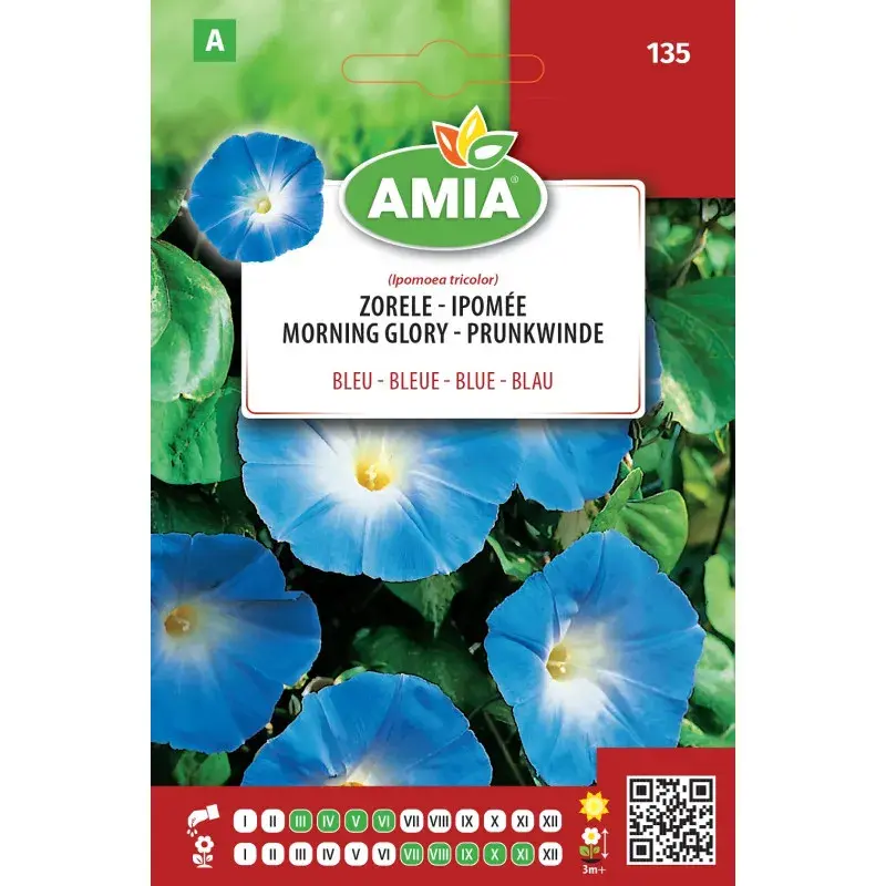 Amia Seeds - Morning glory Blue