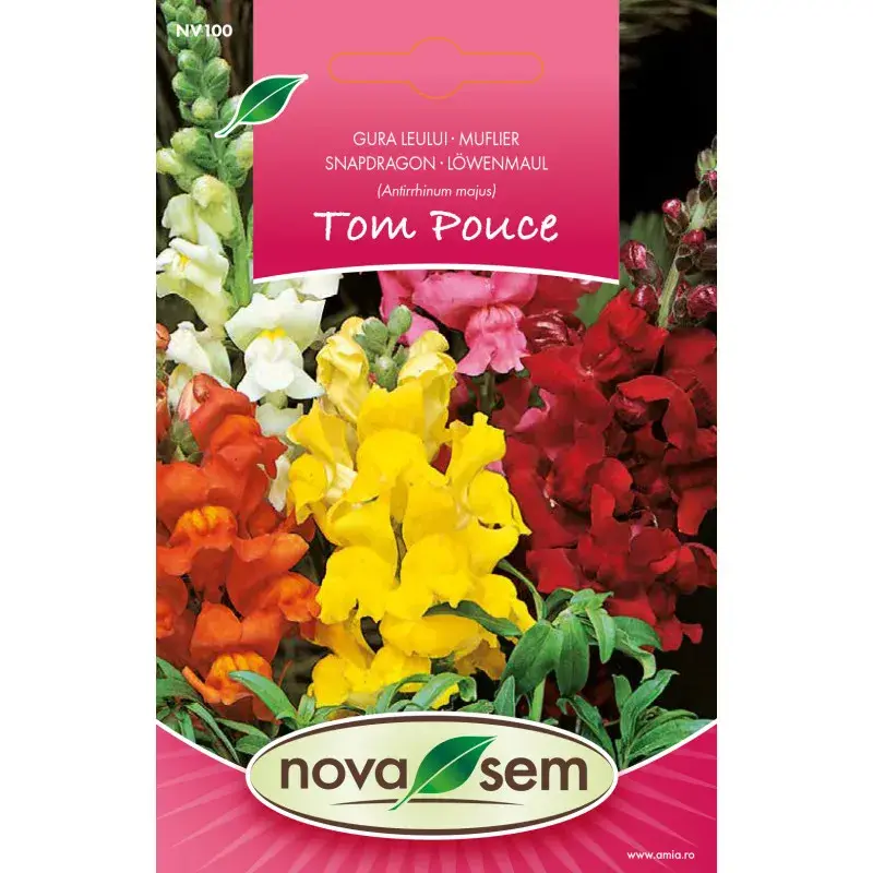 Nova Sem Seeds - Snapdragon Tom Thumb