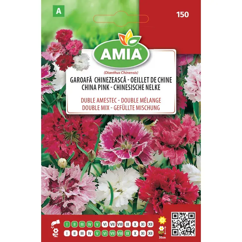 Amia Seeds - Chinese pink
