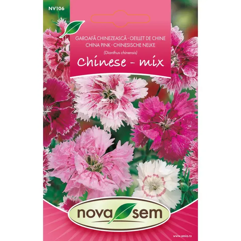 Nova Sem Seeds - Chinese pink