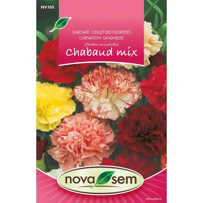 Nova Sem Seeds - Carnation Simple