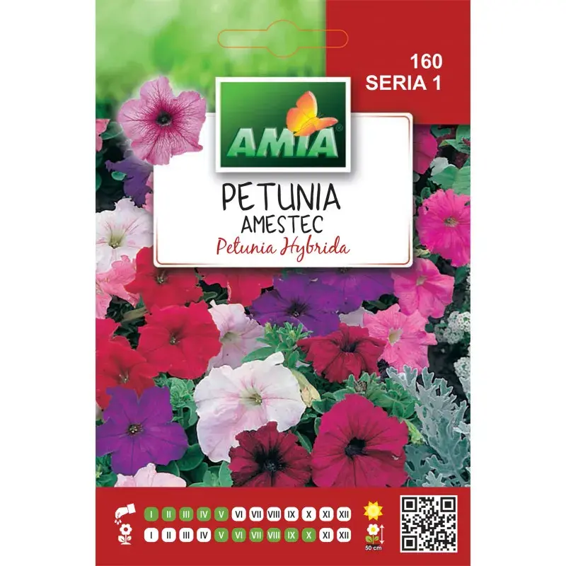 Amia Seeds - Petunia