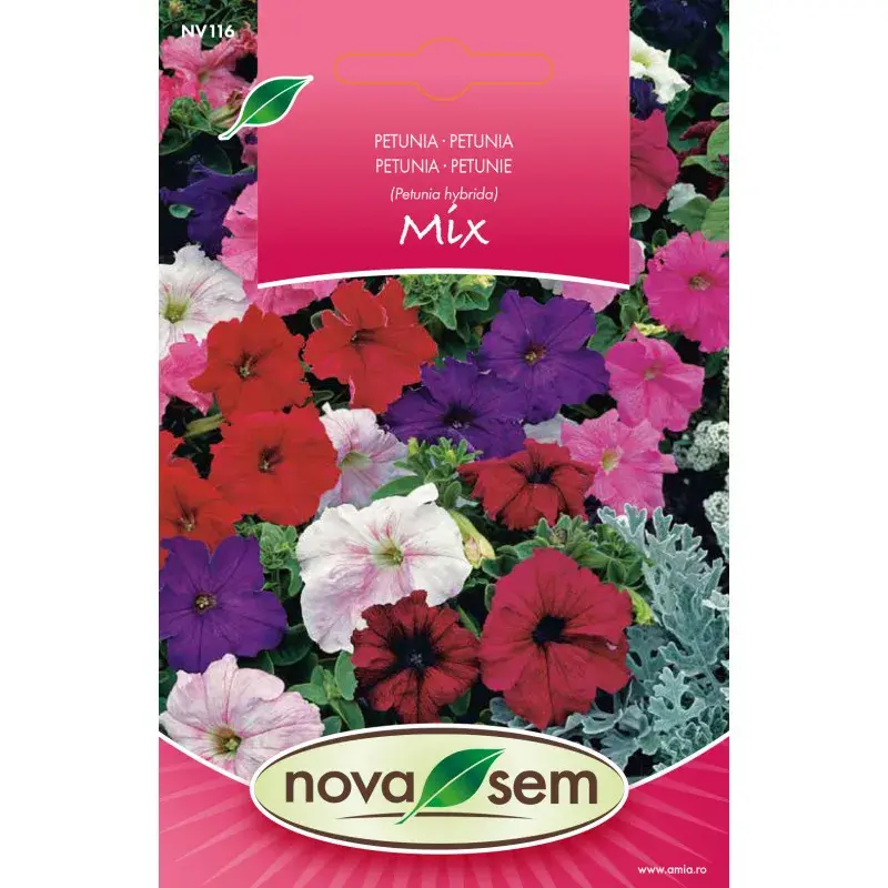 Nova Sem Seeds - Petunia