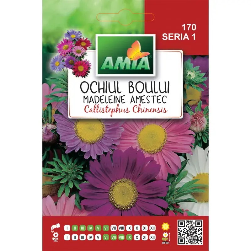 Amia Seeds - China aster Madeleine