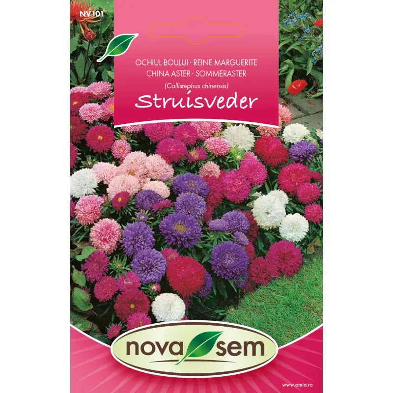 Nova Sem Seeds - China aster Mix