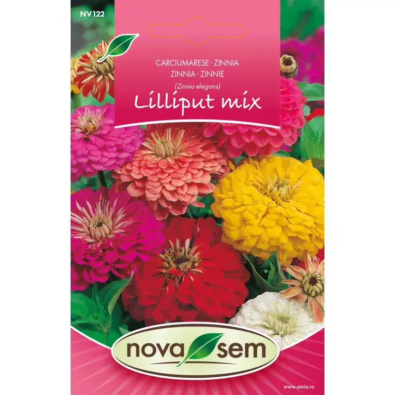 Nova Sem Seeds - Zinnia