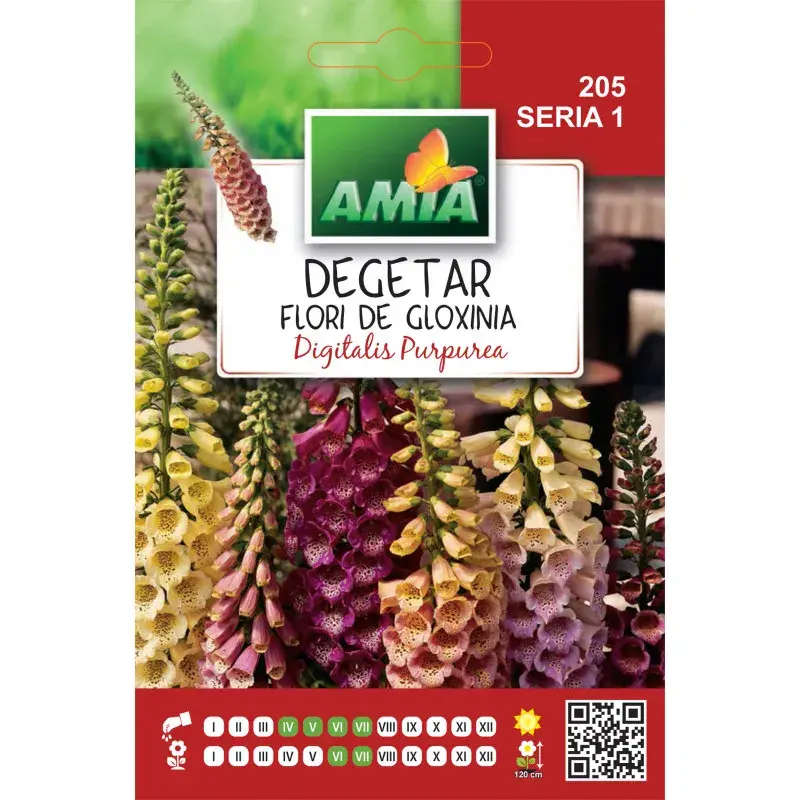 Amia Seeds - Foxglove