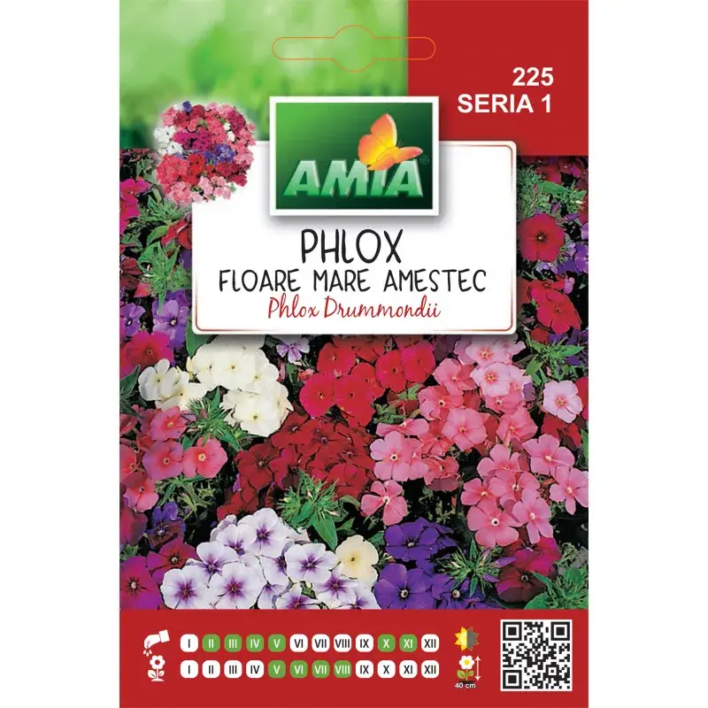 Amia Seeds - Phlox