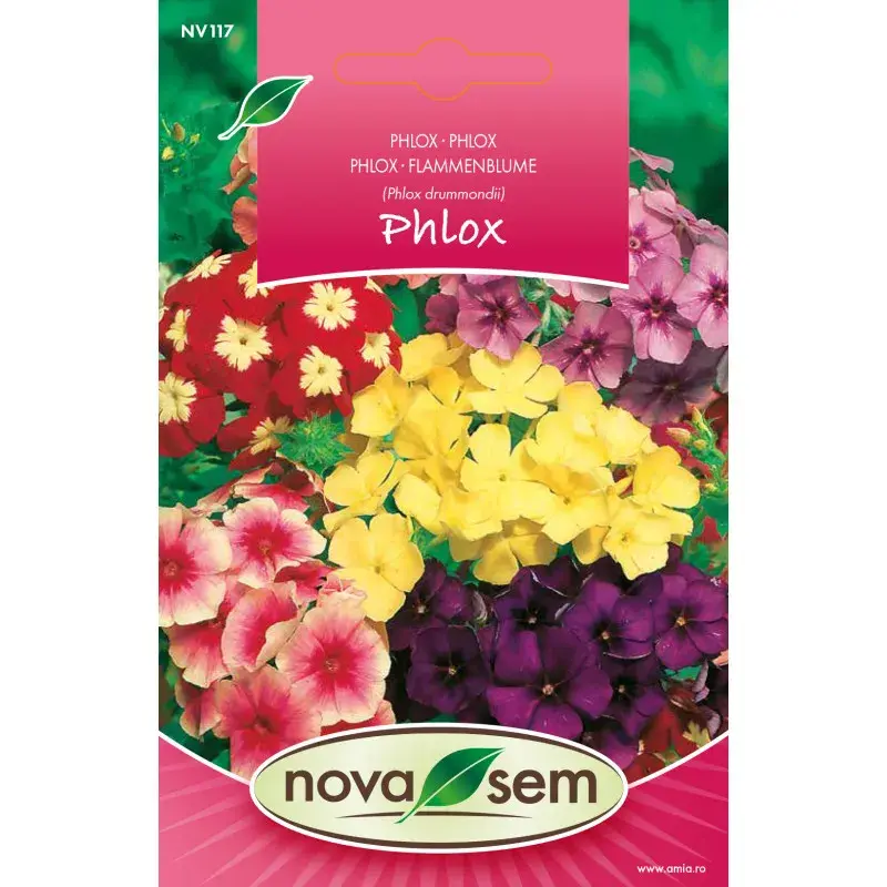 Nova Sem Seeds - Phlox