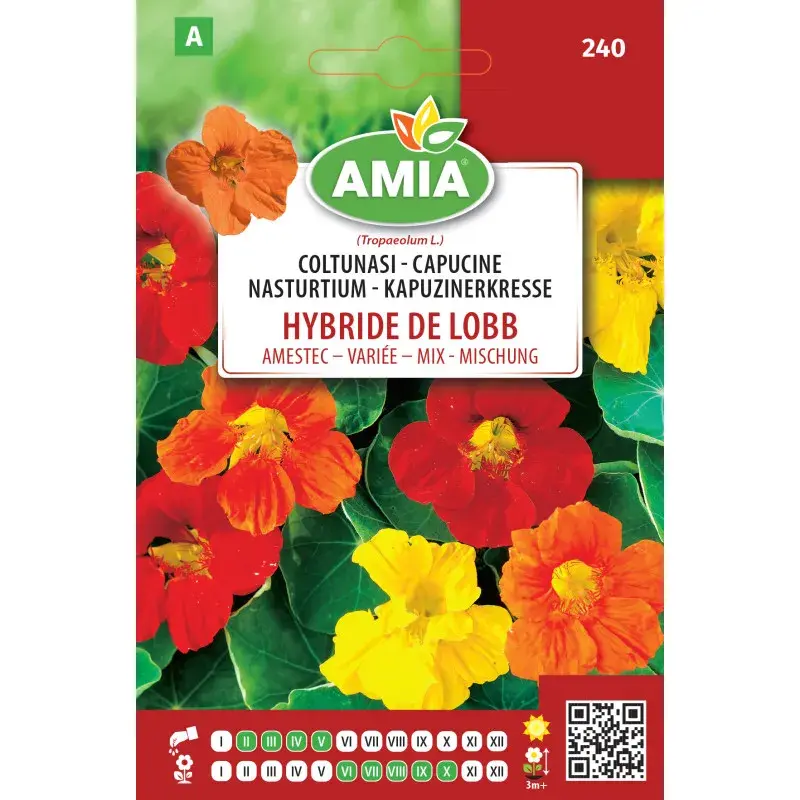 Amia Seeds - Nasturtium Lobb mix