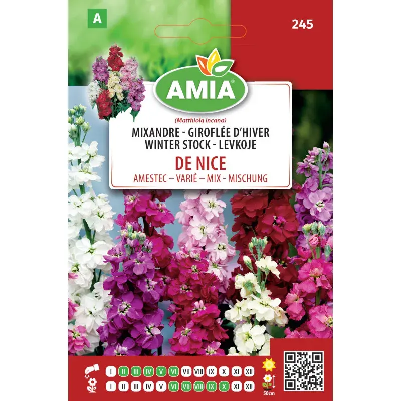 Amia Seeds - Stock