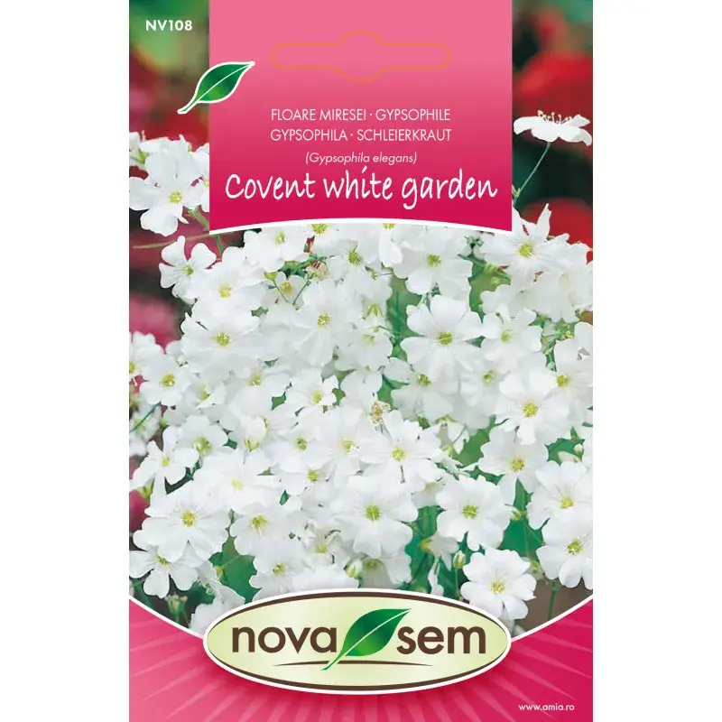 Nova Sem Seeds - Baby's breath Garden Mix