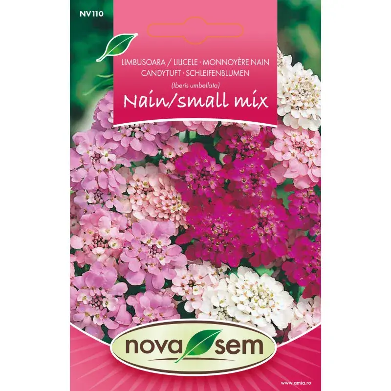 Nova Sem Seeds - Candytuft